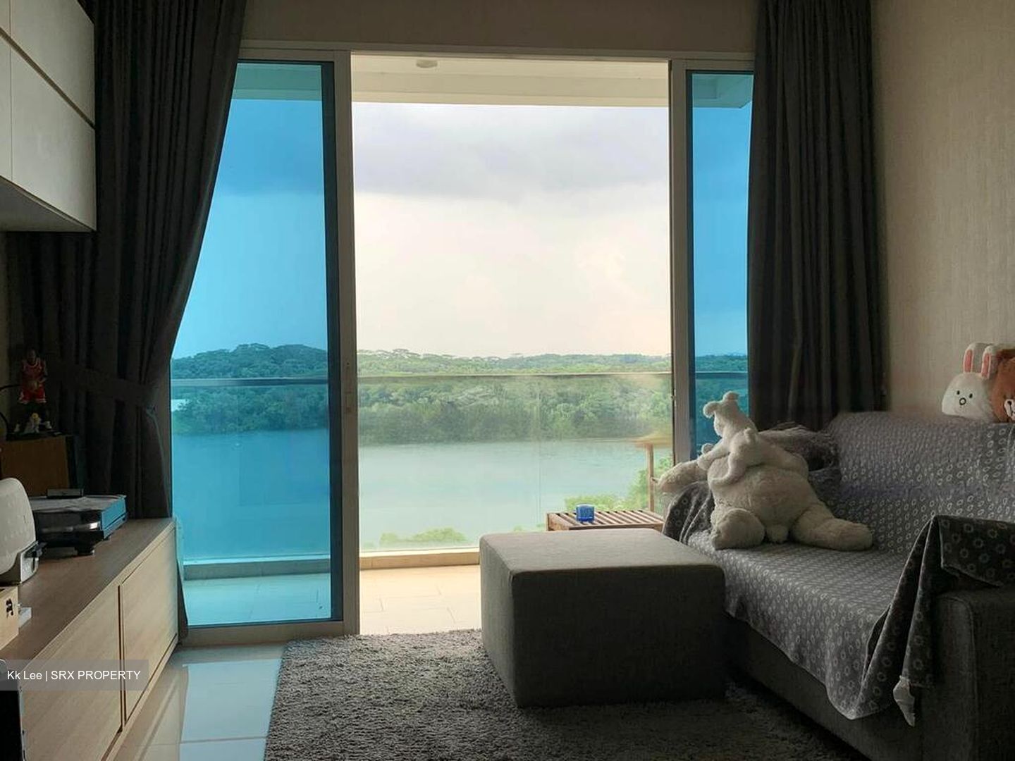 Waterview (D18), Condominium #458767661